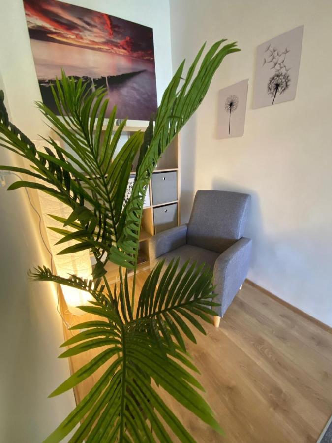 Apartment Dora Задар Екстериор снимка