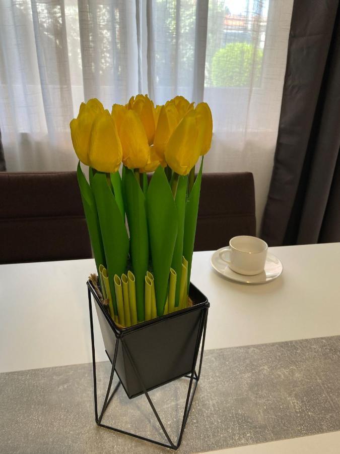 Apartment Dora Задар Екстериор снимка